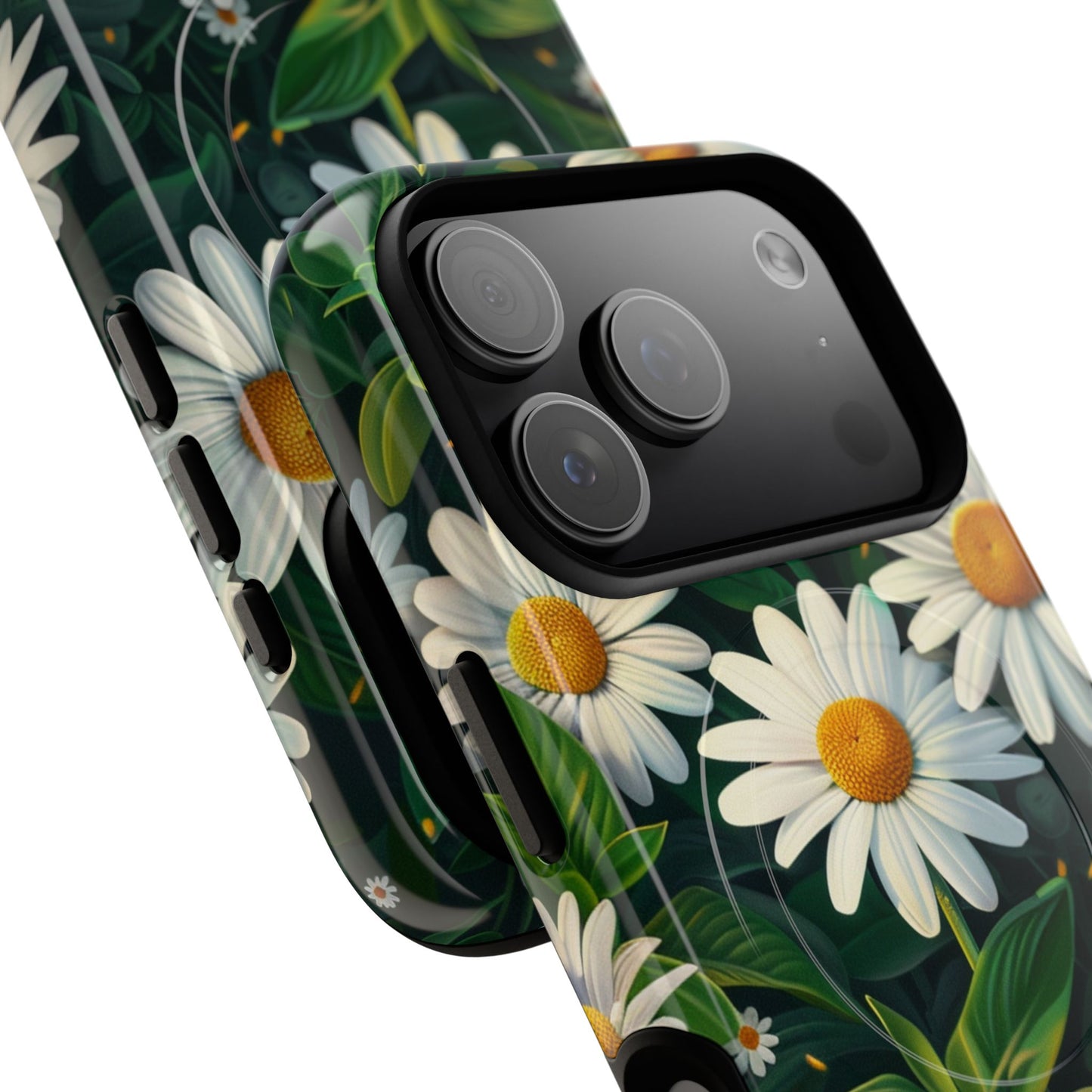 Daisy Garden